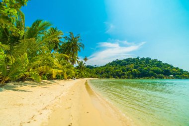 Güzel tropikal plaj ve deniz paradise Island Seyahat ve tatil için Hindistan cevizi hurma ağacı