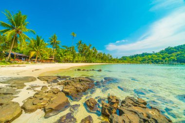 Güzel tropikal plaj ve deniz paradise Island Seyahat ve tatil için Hindistan cevizi hurma ağacı