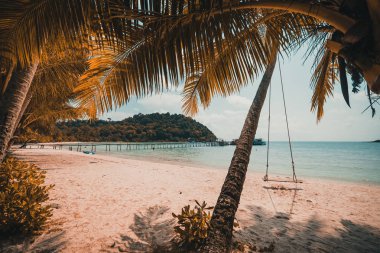 Güzel tropikal plaj ve deniz paradise Island Seyahat ve tatil için Hindistan cevizi hurma ağacı