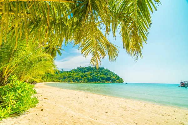 Wunderschöner Tropischer Strand Und Meer Mit Kokospalmen Paradiesinsel Für Reise — Stockfoto