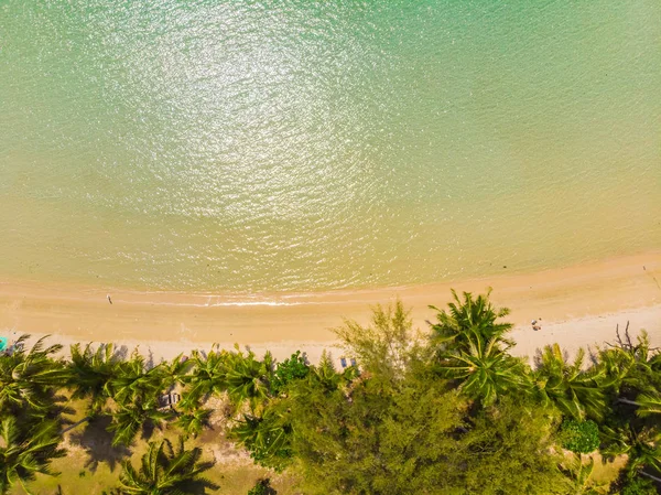 Vackra Flygfoto Över Stranden Och Havet Med Coconut Palm Tree — Stockfoto