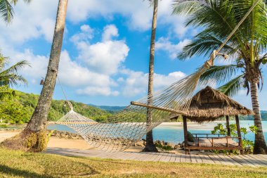 Plaj ve deniz Hindistan cevizi hurma ağacı - tatil tatil kavramı etrafında hamak ile cennet güzel ada