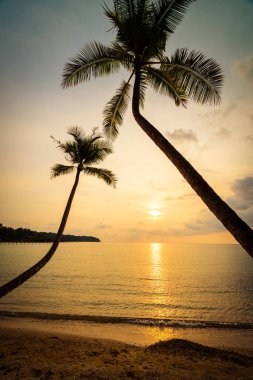 Plaj ve deniz Hindistan cevizi hurma ağacı günbatımı zaman - tatil tatil ve seyahat kavramı etrafında güzel Cennet Adası