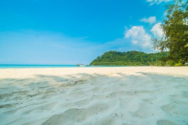 Güzel tropikal plaj ve deniz paradise Island Seyahat ve tatil için Hindistan cevizi hurma ağacı