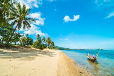 Güzel tropikal plaj ve Hindistan cevizi hurma ağacı Cennet Adası