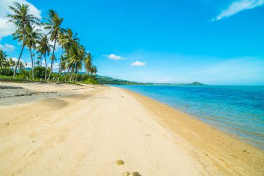 Güzel tropikal plaj ve Hindistan cevizi hurma ağacı Cennet Adası