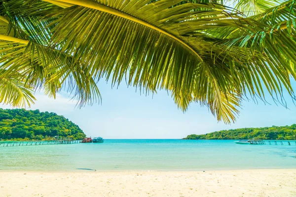 Beautiful Tropical Beach Sea Coconut Palm Tree Paradise Island Travel — Stock Photo, Image