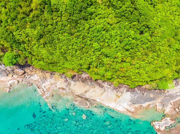 Пляж Море Каяком Кокосовой Пальмой Острове Парадизе Путешествия — стоковое фото