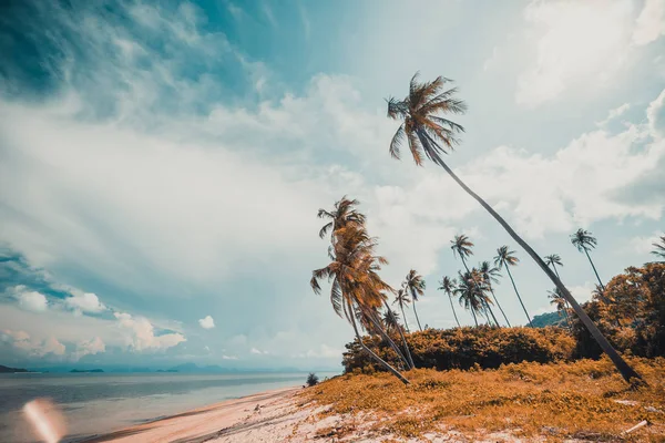 Beautiful Tropical Beach Sea Coconut Palm Tree Paradise Island — Stock Photo, Image