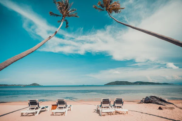 Wunderschöner Tropischer Strand Und Meer Mit Kokospalme Und Stuhl Paradiesinsel — Stockfoto