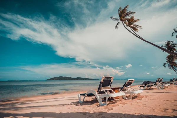 Wunderschöner Tropischer Strand Und Meer Mit Kokospalme Und Stuhl Paradiesinsel — Stockfoto
