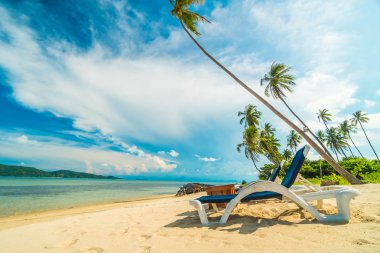 Güzel tropikal plaj ve Hindistan cevizi hurma ağacı ve Cennet Adası sandalyede denize sıfır