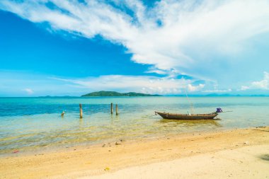 Güzel tropikal plaj ve Hindistan cevizi hurma ağacı Cennet Adası