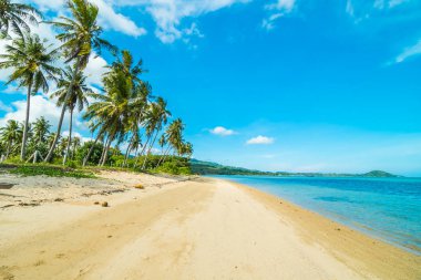 Güzel tropikal plaj ve Hindistan cevizi hurma ağacı Cennet Adası