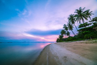 Güzel tropikal plaj ve deniz ile Hindistan cevizi hurma ağacı gündoğumu zaman - uzun pozlama vurdu