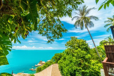 Plaj ve deniz ile Hindistan cevizi hurma ağacı koh samui Adası Tayland seyahat ve tatil için güzel havadan görünümü