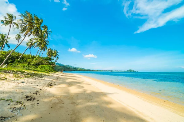 Wunderschöner Tropischer Strand Und Meer Mit Kokospalmen Paradiesinsel — Stockfoto