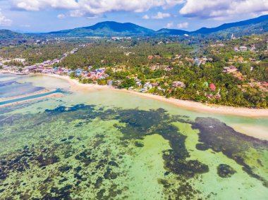 Güzel tropikal plaj ve deniz hurma ve koh samui Adası seyahat ve tatil için diğer ağacında havadan görünümü
