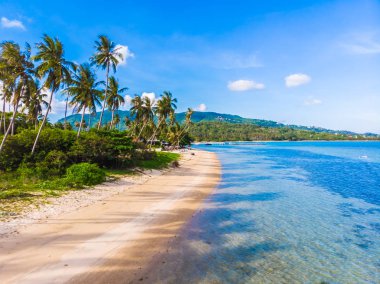 Güzel tropikal plaj ve deniz hurma ve koh samui Adası seyahat ve tatil için diğer ağacında havadan görünümü