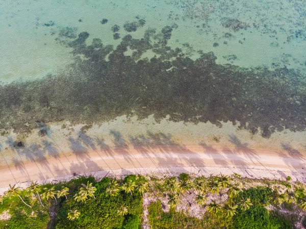 Vue Aérienne Belle Plage Tropicale Mer Avec Palmier Autre Arbre — Photo