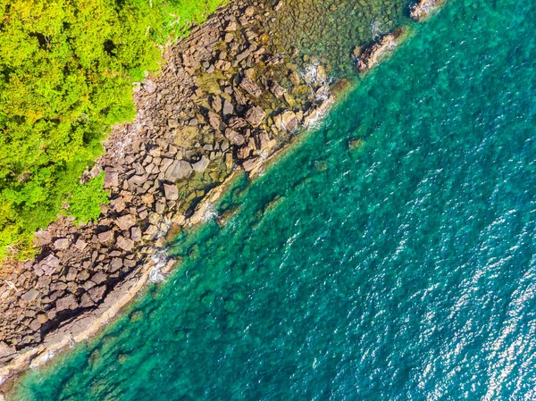 파라다이스 아일랜드 코코넛 나무와 바다와 해변의 조감도 — 스톡 사진
