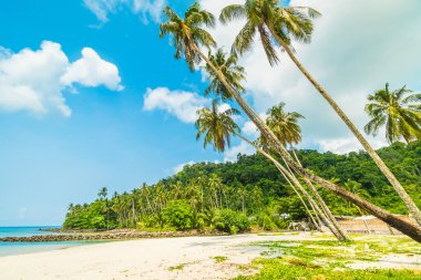 Güzel tropikal plaj ve deniz paradise Island Seyahat ve tatil için Hindistan cevizi hurma ağacı
