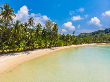 Plaj ve deniz paradise Island tatil için Hindistan cevizi hurma ağacı ile güzel havadan görünümü