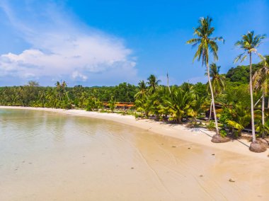 Güzel doğa tropikal plaj ve deniz kayık tekne ve Hindistan cevizi hurma ağacı Cennet Adası için seyahat etmek tatil