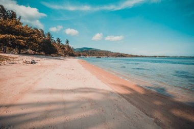 Güzel tropikal plaj ve Hindistan cevizi hurma ağacı Cennet Adası