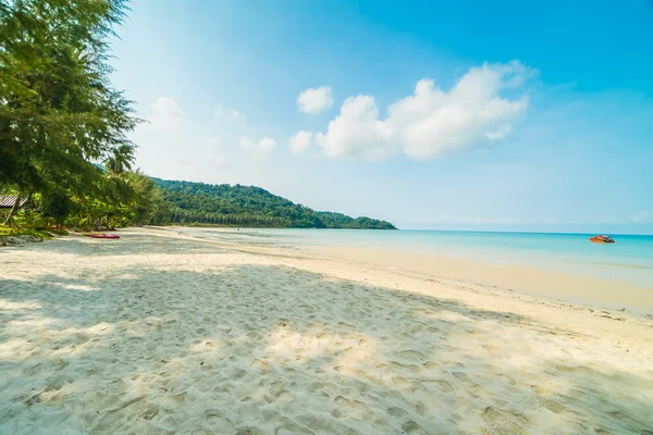 Güzel tropikal plaj ve deniz paradise Island Seyahat ve tatil için Hindistan cevizi hurma ağacı
