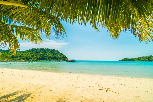 Belle Plage Tropicale Mer Avec Cocotier Dans Île Paradisiaque Pour — Photo