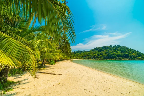 Güzel tropikal plaj ve deniz paradise Island Seyahat ve tatil için Hindistan cevizi hurma ağacı