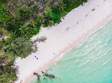 Mavi gökyüzünde Cennet Adası üzerinde güzel bir plaj ve deniz Hindistan cevizi hurma ağacı ile havadan görünümü
