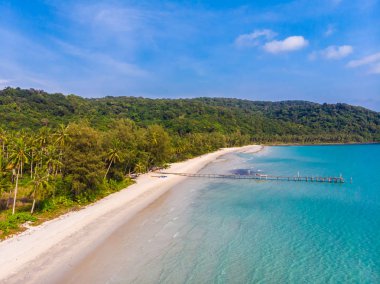 Plaj ve deniz paradise Island tatil için Hindistan cevizi hurma ağacı ile güzel havadan görünümü