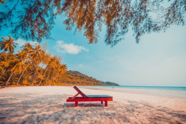 Güzel doğa tropikal plaj ve sandalye ve Hindistan cevizi hurma ağacı için cennet adasında denize sıfır tatil seyahat