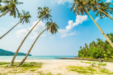 Güzel tropikal plaj ve deniz paradise Island Seyahat ve tatil için Hindistan cevizi hurma ağacı