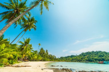 Güzel tropikal plaj ve deniz paradise Island Seyahat ve tatil için Hindistan cevizi hurma ağacı