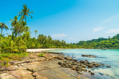 Güzel tropikal plaj ve deniz paradise Island Seyahat ve tatil için Hindistan cevizi hurma ağacı