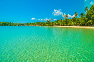 Güzel tropikal plaj ve deniz paradise Island Seyahat ve tatil için Hindistan cevizi hurma ağacı