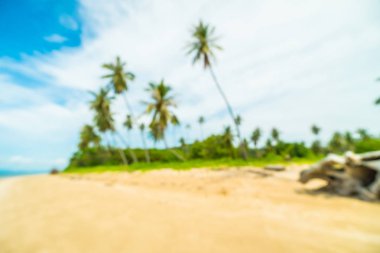 Soyut bulanıklık ve tropikal plaj ve deniz seyahat ve tatil için Hindistan cevizi hurma ağacı arka plan ile defocused