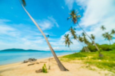 Soyut bulanıklık ve tropikal plaj ve deniz seyahat ve tatil için Hindistan cevizi hurma ağacı arka plan ile defocused