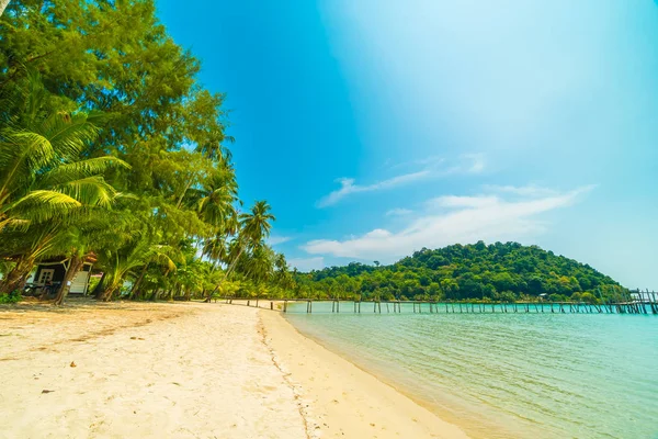 Bela Praia Tropical Mar Com Coqueiro Ilha Paradisíaca Para Viagens — Fotografia de Stock