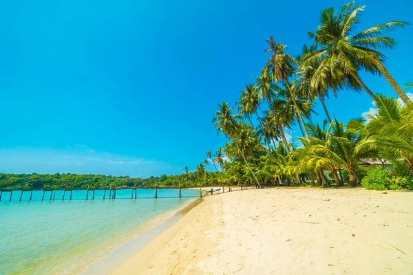 Wunderschöner Tropischer Strand Und Meer Mit Kokospalmen Paradiesinsel Für Reise — Stockfoto