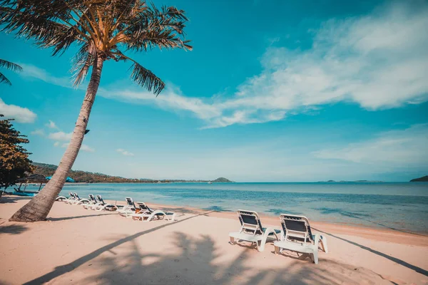 Wunderschöner Tropischer Strand Und Meer Mit Kokospalme Und Stuhl Paradiesinsel — Stockfoto