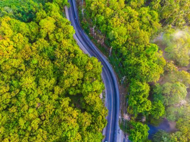 Havadan görünümü yan yol seyahat ve tatil için birçok ağaç ormandaki
