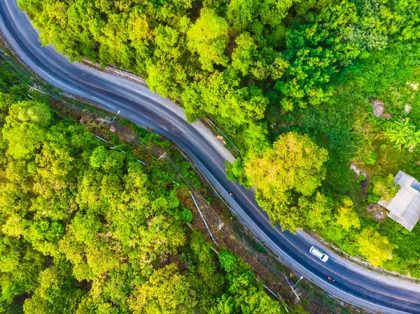 Aerial view road side in the forest with many tree for travel and vacation