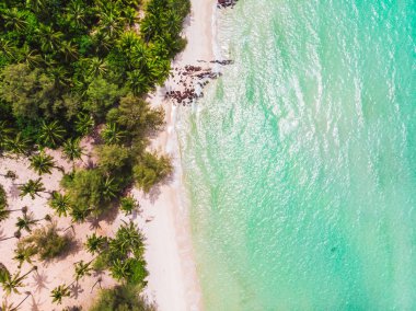 Mavi gökyüzünde Cennet Adası üzerinde güzel bir plaj ve deniz Hindistan cevizi hurma ağacı ile havadan görünümü