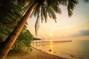 Plaj ve deniz Hindistan cevizi hurma ağacı günbatımı zaman - tatil tatil ve seyahat kavramı etrafında güzel Cennet Adası