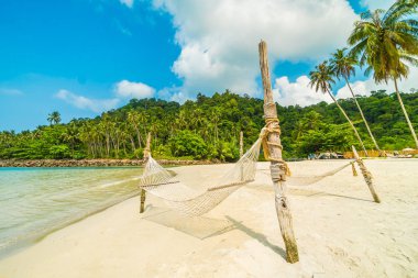 Hamak güzel tropikal plaj ve deniz paradise Island seyahat etmek tatil için Hindistan cevizi hurma ağacı