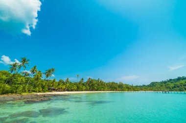 Güzel tropikal plaj ve deniz paradise Island Seyahat ve tatil için Hindistan cevizi hurma ağacı